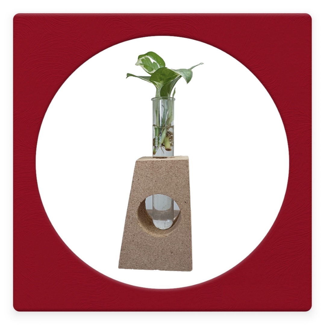 Cork Planter 4